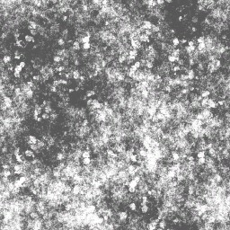 AET240_896_a_l.jpg