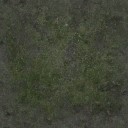 AET250_009_a_l.jpg