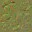 AET250_205_n_l.jpg