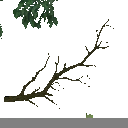 AET250_212_a_l.png