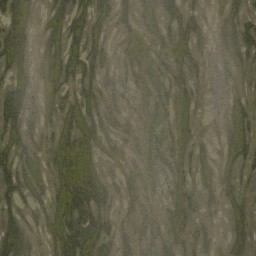 AET250_320_a_l.jpg