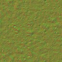 AET250_410_n_l.jpg