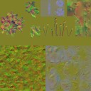 AET260_019_n_l.jpg