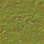 AET260_046_n_l.jpg