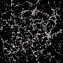 AET260_059_a_l.jpg