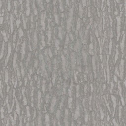 AET260_069_a_l.jpg