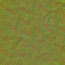 AET260_307_n_l.jpg