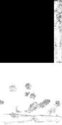 AET260_333_m_l.png