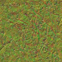 AET260_351_n_l.jpg