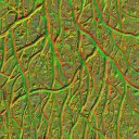 AET260_353_n_l.jpg