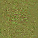 AET260_370_n_l.jpg