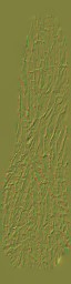 AET260_602_n_l.jpg