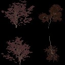 AET260_952_a_l.jpg