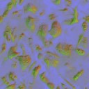 AET270_079_n_l.jpg