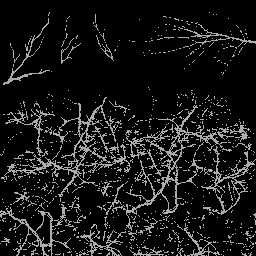 AET270_408_a_l.jpg