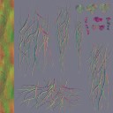 AET270_599_n_l.jpg