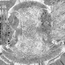 AET401_285_m_l.jpg