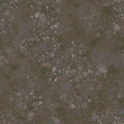 AET402_191_a_l.jpg