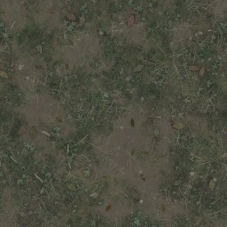AET402_192_a_l.jpg