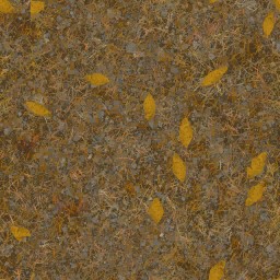 AET402_304_a_l.jpg