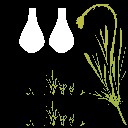 AET410_161_a_l.jpg
