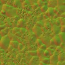 AET410_206_n_l.jpg