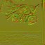 AET410_224_n_l.jpg