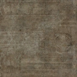 AET410_502_a_l.jpg