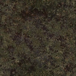 AET420_008_a_l.jpg
