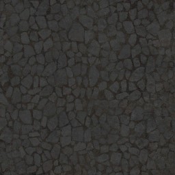 AET420_014_a_l.jpg