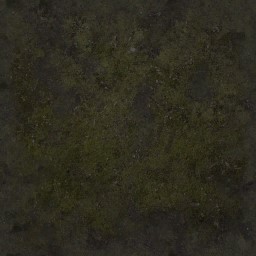 AET420_037_a_l.jpg