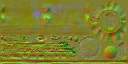AET420_415_n_l.jpg