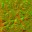 AET420_604_n_l.jpg