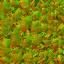 AET430_071_n_l.jpg