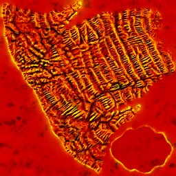 AET440_025_3m_l.jpg