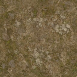 AET441_011_a_l.jpg
