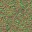 AET443_103_n_l.jpg