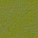 AET443_153_n_l.jpg