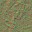 AET443_158_n_l.jpg