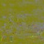 AET443_202_n_l.jpg