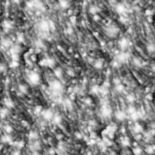 AET462_027_1m_l.jpg