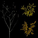 AET490_010_a_l.jpg