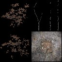 AET490_060_a_l.jpg