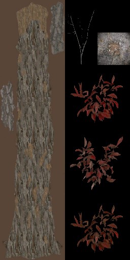 AET490_140_a_l.jpg
