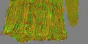 AET490_271_n_l.jpg