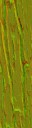 AET490_570_n_l.jpg