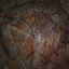 AET490_999_a_l.jpg