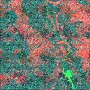 AET500_808_3m_l.jpg