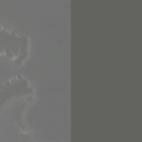 AET500_833_a_l.png