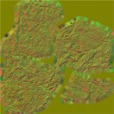 AET657_002_n_l.jpg
